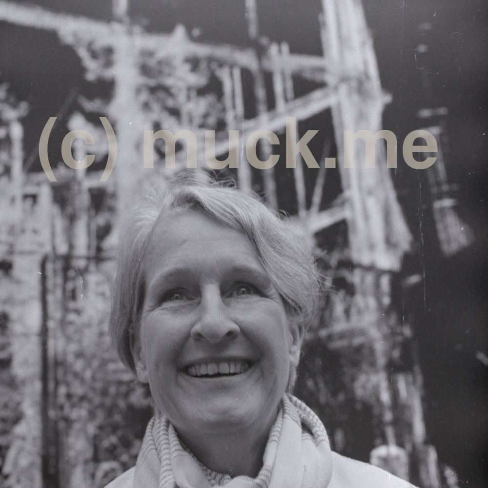 Blaue Pferde – Bild 2