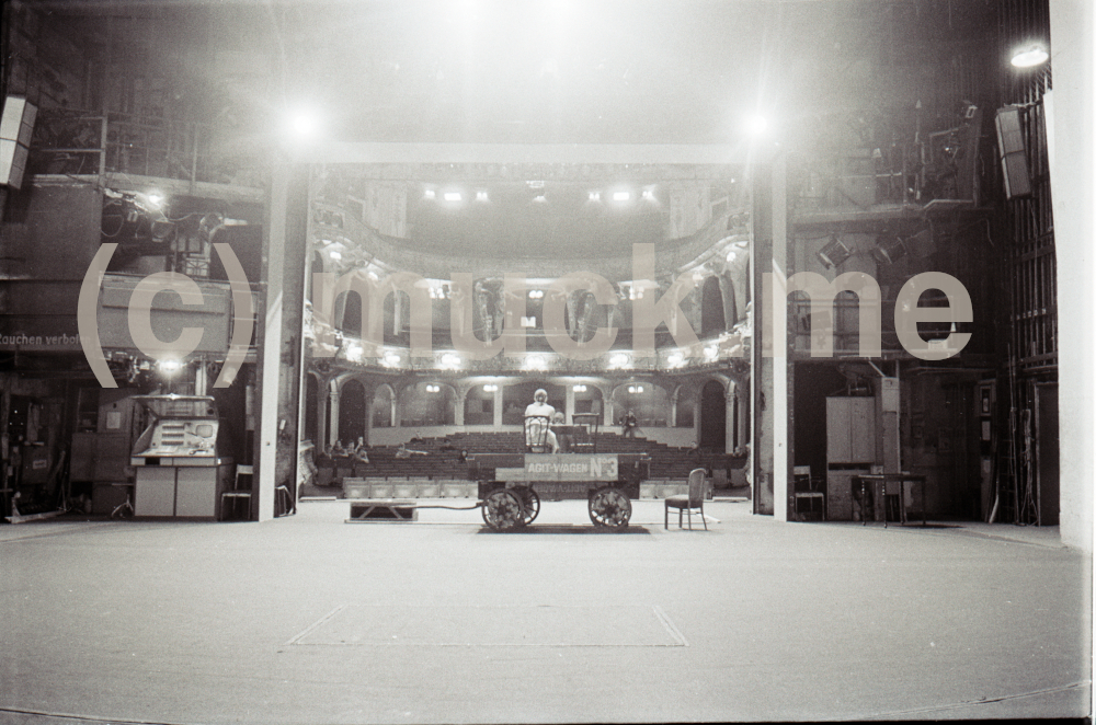 Blaue Pferde – Bild 3