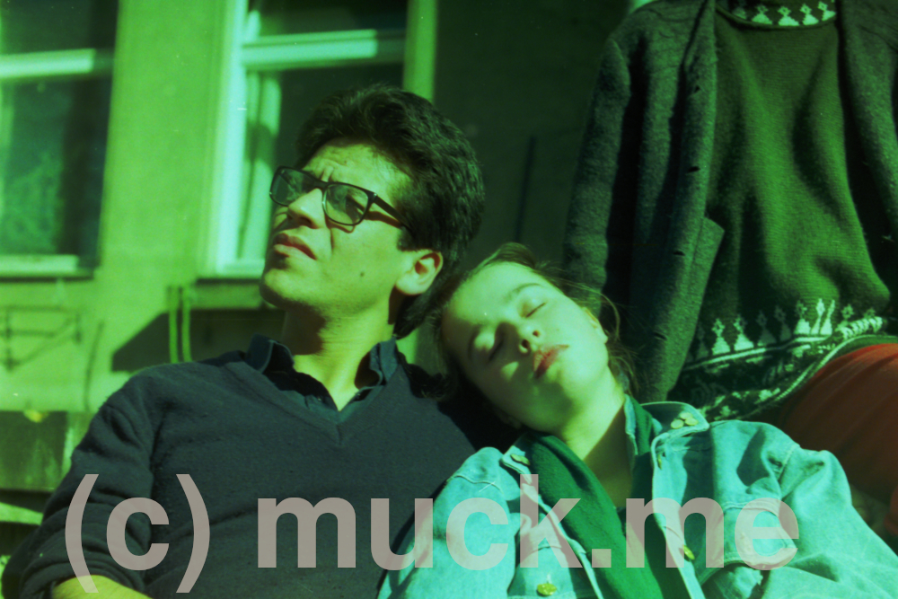 Blaue Pferde – Bild 4